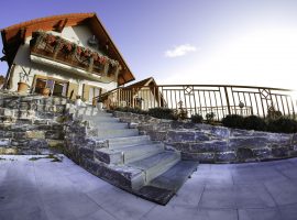 Steintreppe zur Terrasse